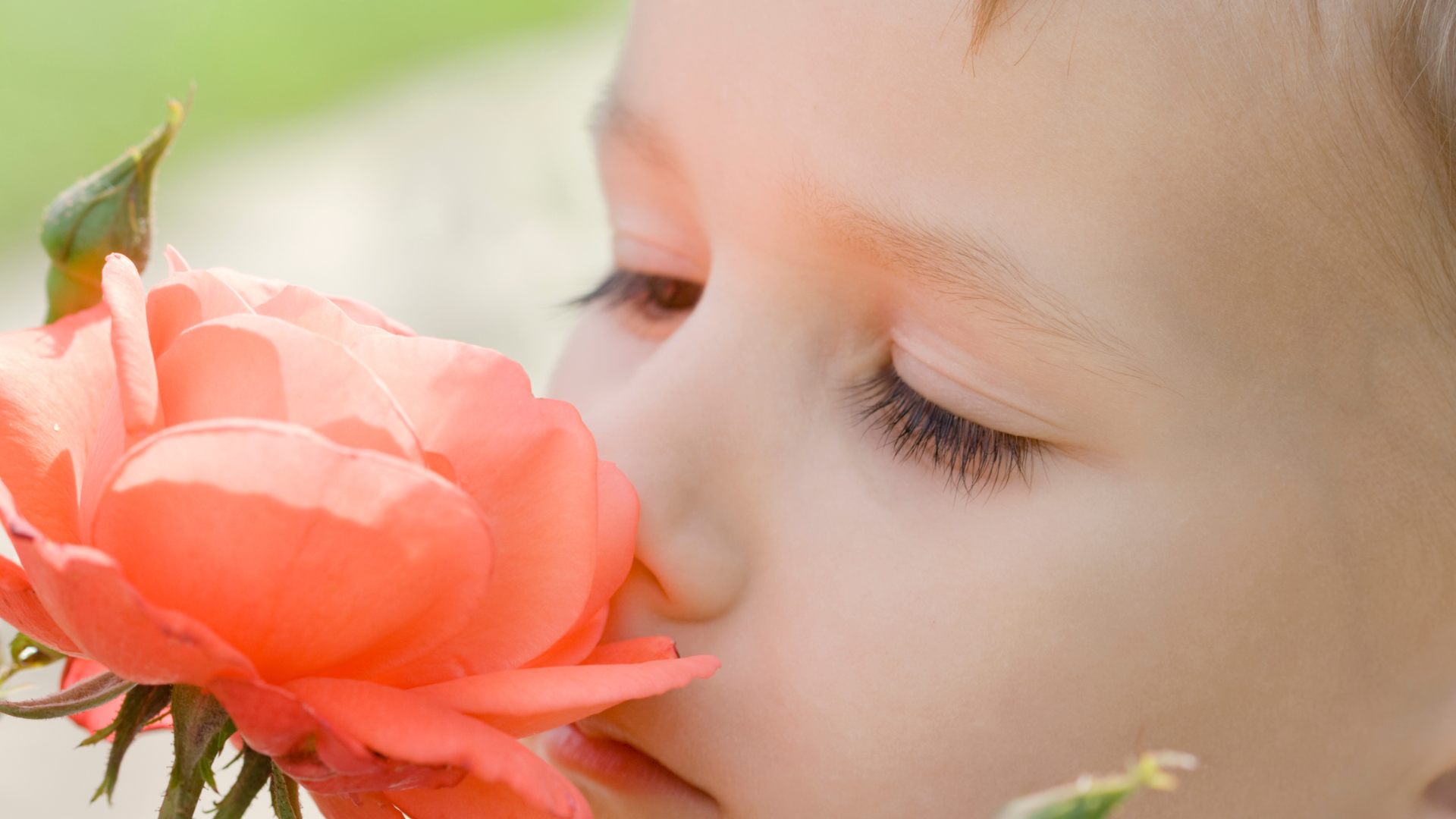 Little Wonders for Twos: Super Senses