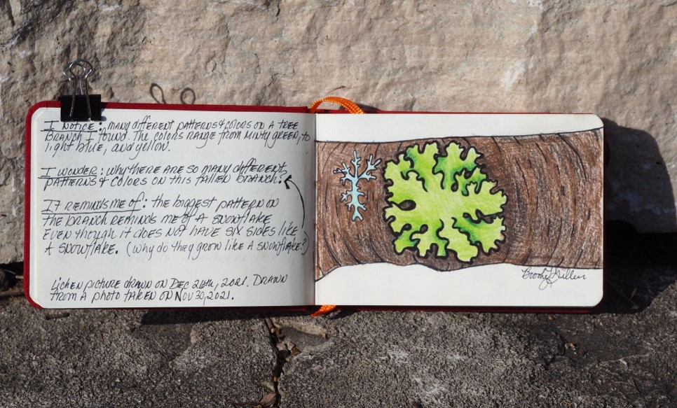 nature journal with open pages showing lichen and words of observation